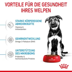 Royal Canin Maxi Puppy Für Welpen Großer Rassen 4 Kg Trockenfutter Für Hunde 15 Royal Canin Maxi Puppy Für Welpen Großer Rassen 4 Kg Trockenfutter Für Hunde -Deutschland Kuschel Pet Verkaufs-Shop 07jpO32d7PMu 3182550402163 3005 4