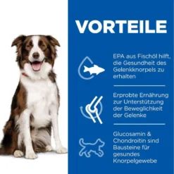 Hills Science Plan Canine Adult Healthy Mobility Medium Huhn Trockenfutter 14 Kg Trockenfutter -Deutschland Kuschel Pet Verkaufs-Shop 0S18WI5f2Toc 52742026138 3