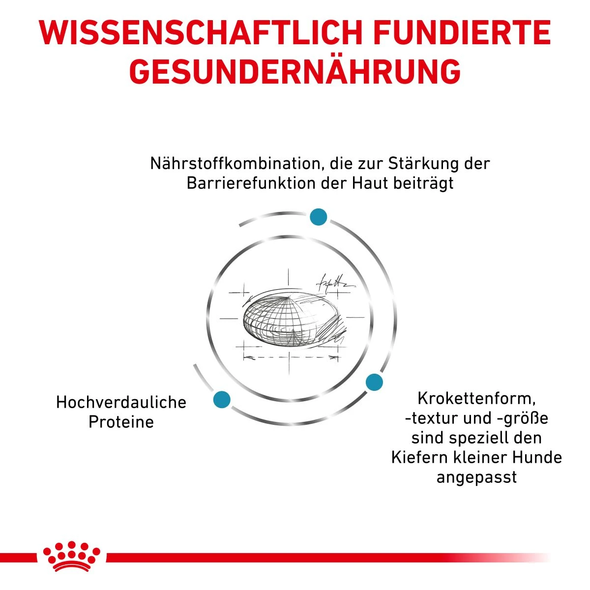 Royal Canin Skin Care Small Dogs Trockenfutter 2 Kg Trockenfutter Für Hunde 6 Royal Canin Skin Care Small Dogs Trockenfutter 2 Kg Trockenfutter Für Hunde – Bild 4