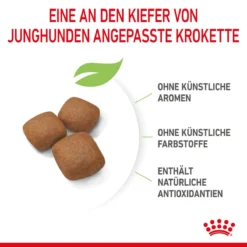 Royal Canin Giant Junior Welpenfutter Für Sehr Große Hunde 15 Kg Trockenfutter Für Hunde -Deutschland Kuschel Pet Verkaufs-Shop 10epCpyhua4c 3182550707077 3085 5