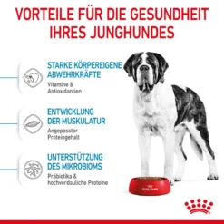 Royal Canin Giant Junior Welpenfutter Für Sehr Große Hunde 15 Kg Trockenfutter Für Hunde -Deutschland Kuschel Pet Verkaufs-Shop 1E6IYFKnHwuZ 3182550707077 3085 4