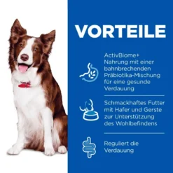 Hills Science Plan Canine Perfect Digestion Adult Medium Trockenfutter Für Hunde 14 Kg Huhn & Reis Trockenfutter -Deutschland Kuschel Pet Verkaufs-Shop 1MbqEigY9Tip 52742044156 3
