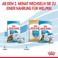 Royal Canin Maxi Starter Trockenfutter 15 Kg Trockenfutter Für Hunde -Deutschland Kuschel Pet Verkaufs-Shop 1lsWi6M1bH5j 3182550778787 2525 6