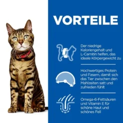Hills Science Plan Feline Adult Light Huhn Frischebeutel Für Katzen 12 X 85 G Huhn Frischebeutel -Deutschland Kuschel Pet Verkaufs-Shop 2CpuRduzHywq 52742210803 3