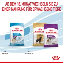 Royal Canin Giant Junior Welpenfutter Für Sehr Große Hunde 15 Kg Trockenfutter Für Hunde -Deutschland Kuschel Pet Verkaufs-Shop 2zHWgrNRQRhE 3182550707077 3085 6