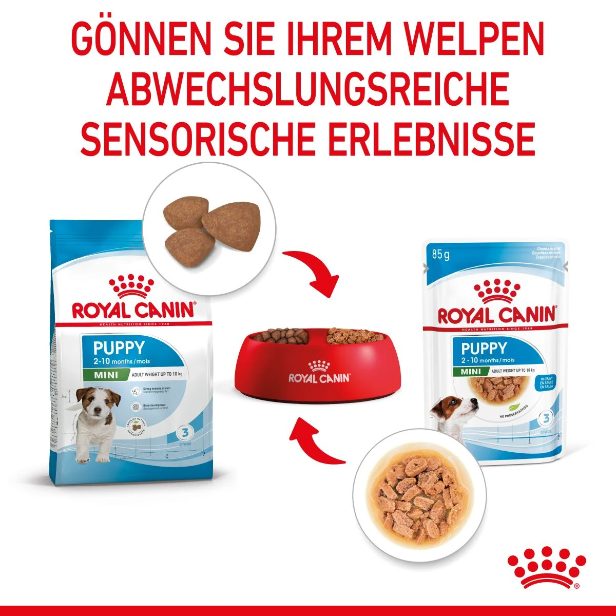 Royal Canin Mini Puppy Frischebeutel 12 X 85 G Frischebeutel Für Hunde 6 Royal Canin Mini Puppy Frischebeutel 12 X 85 G Frischebeutel Für Hunde – Bild 4