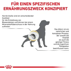 Royal Canin Urinary S/O AGEING 7+ Hundefutter 1,5 Kg Trockenfutter Für Hunde 18 Royal Canin Urinary S/O AGEING 7+ Hundefutter 1,5 Kg Trockenfutter Für Hunde -Deutschland Kuschel Pet Verkaufs-Shop 3sLlHHD0rRbJ 3182550896863 6332 8