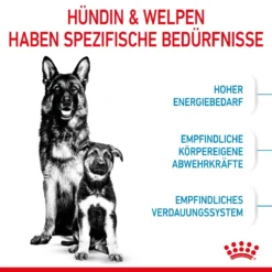 Royal Canin Maxi Starter Trockenfutter 15 Kg Trockenfutter Für Hunde -Deutschland Kuschel Pet Verkaufs-Shop 4XgyrCFkx0o4 3182550778787 2525 3