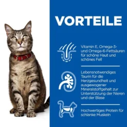 Hills Science Plan Feline Adult Frischebeutel Für Katzen 12 X 85 G Huhn Frischebeutel -Deutschland Kuschel Pet Verkaufs-Shop 4uTNCE9fASTh 52742210407 3