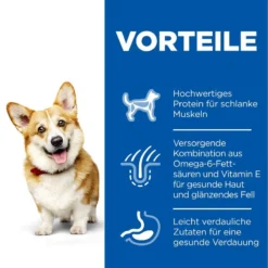 Hills Science Plan Canine Hund Adult Small & Mini Trockenfutter 6 Kg Trockenfutter Für Hunde 7 Hills Science Plan Canine Hund Adult Small & Mini Trockenfutter 6 Kg Trockenfutter Für Hunde -Deutschland Kuschel Pet Verkaufs-Shop 4xhksq7T5cjb 52742024769 3