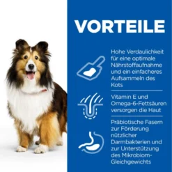 Hills Science Plan Canine Adult Sensitive Stomach & Skin Mit Huhn Trockenfutter 14 Kg Trockenfutter 7 Hills Science Plan Canine Adult Sensitive Stomach & Skin Mit Huhn Trockenfutter 14 Kg Trockenfutter -Deutschland Kuschel Pet Verkaufs-Shop 51gEYtZGHHXc 52742026091 3