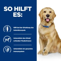 Hills J/d Trockenfutter Für Hunde 1,5 Trockenfutter Für Hunde -Deutschland Kuschel Pet Verkaufs-Shop 5QAG7019E6n6 52742918303 4