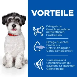 Hills Science Plan Perfect Weight + Active Mobility Small & Mini Adult Trockenfutter 6 Kg Trockenfutter Für Hunde 9 Hills Science Plan Perfect Weight + Active Mobility Small & Mini Adult Trockenfutter 6 Kg Trockenfutter Für Hunde -Deutschland Kuschel Pet Verkaufs-Shop 76MEJ32CLOYJ 52742052465 3