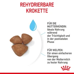 Royal Canin Mini Starter Trockenfutter 4 Kg Trockenfutter 17 Royal Canin Mini Starter Trockenfutter 4 Kg Trockenfutter -Deutschland Kuschel Pet Verkaufs-Shop 7CbokL7nJ8fJ 3182550932707 2504 5