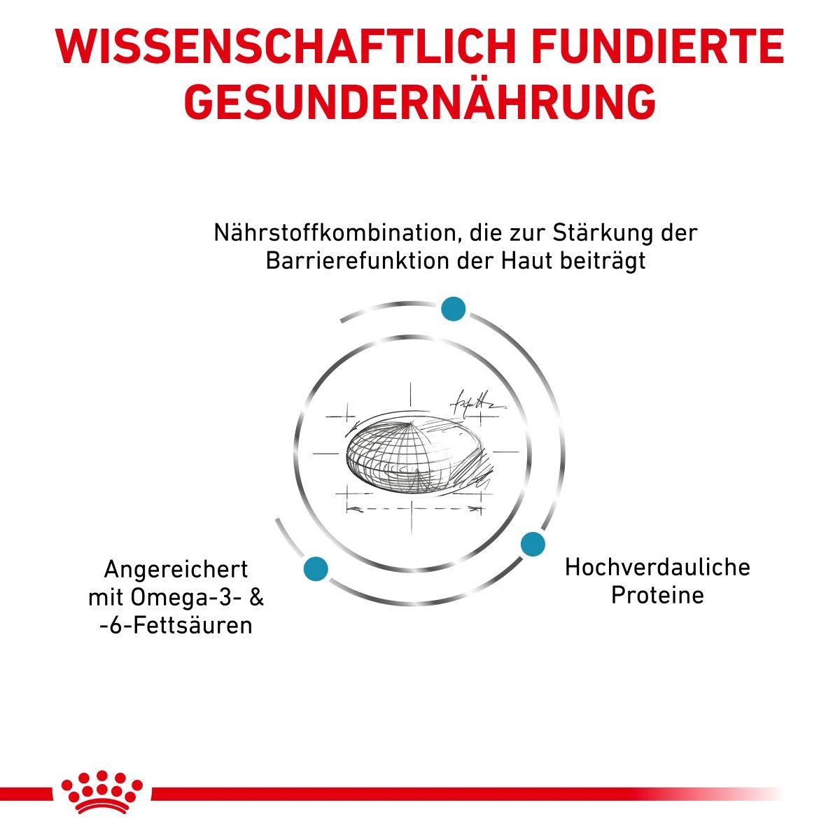 Royal Canin Skin Care Trockenfutter Für Hunde 2 Kg Trockenfutter Für Hunde 6 Royal Canin Skin Care Trockenfutter Für Hunde 2 Kg Trockenfutter Für Hunde – Bild 4