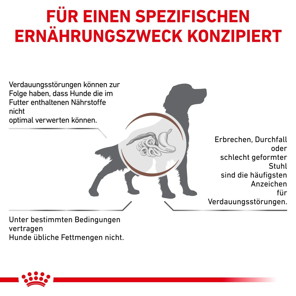 Royal Canin Gastrointestinal Low Fat Trockenfutter Für Hunde 1,5 Kg Trockenfutter Für Hunde 4 Royal Canin Gastrointestinal Low Fat Trockenfutter Für Hunde 1,5 Kg Trockenfutter Für Hunde – Bild 2