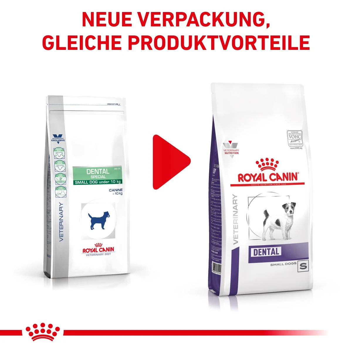 Royal Canin Dental Small Dogs Trockenfutter Für Hunde 1,5 Kg Trockenfutter Für Hunde 4 Royal Canin Dental Small Dogs Trockenfutter Für Hunde 1,5 Kg Trockenfutter Für Hunde – Bild 2