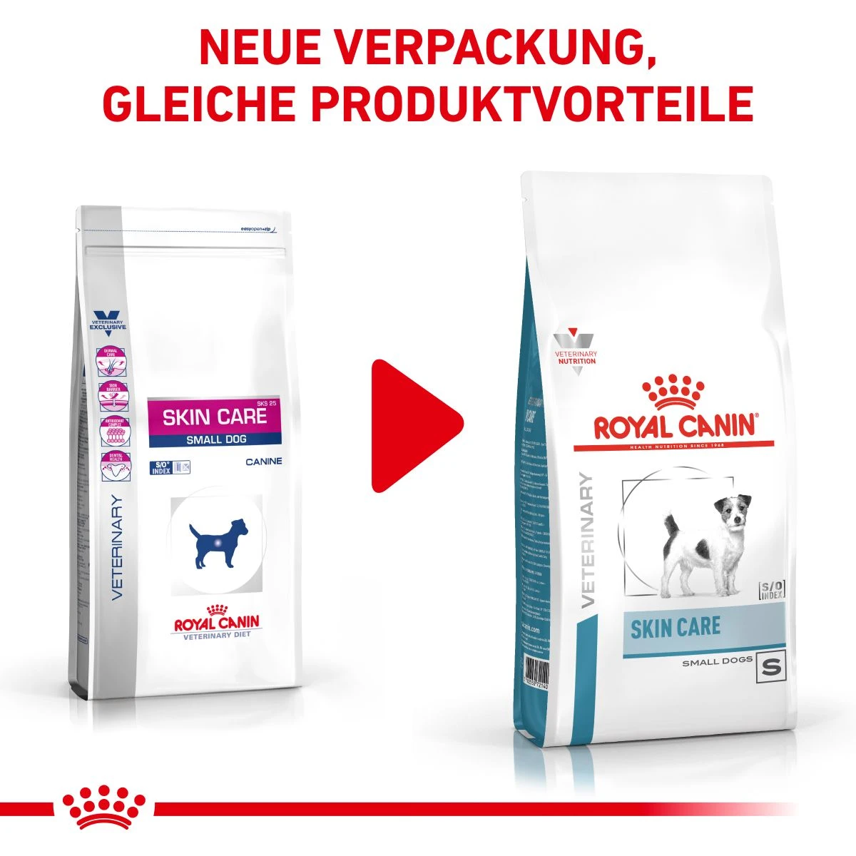 Royal Canin Skin Care Small Dogs Trockenfutter 2 Kg Trockenfutter Für Hunde 4 Royal Canin Skin Care Small Dogs Trockenfutter 2 Kg Trockenfutter Für Hunde – Bild 2