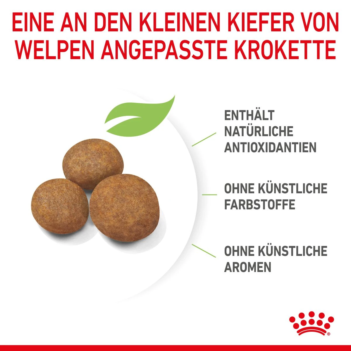 Royal Canin Maxi Puppy Für Welpen Großer Rassen 4 Kg Trockenfutter Für Hunde 7 Royal Canin Maxi Puppy Für Welpen Großer Rassen 4 Kg Trockenfutter Für Hunde – Bild 6