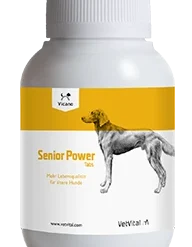 VetVital Vicano Senior Power Tabs Für ältere Hunde 150 Tabletten Dose Für Hunde