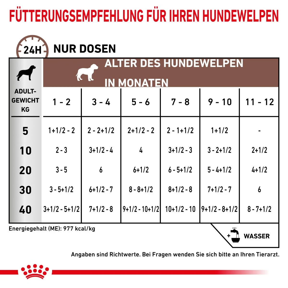 Royal Canin Gastrointestinal Puppy Dosen 12 X 195 G Dosenfutter Für Hunde 5 Royal Canin Gastrointestinal Puppy Dosen 12 X 195 G Dosenfutter Für Hunde – Bild 3