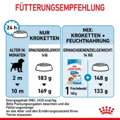 Royal Canin Medium Puppy Für Welpen Mittelgroßer Hunderassen 4 Kg Trockenfutter 20 Royal Canin Medium Puppy Für Welpen Mittelgroßer Hunderassen 4 Kg Trockenfutter -Deutschland Kuschel Pet Verkaufs-Shop CyzBvvc6poBD 3182550402132 2905 8