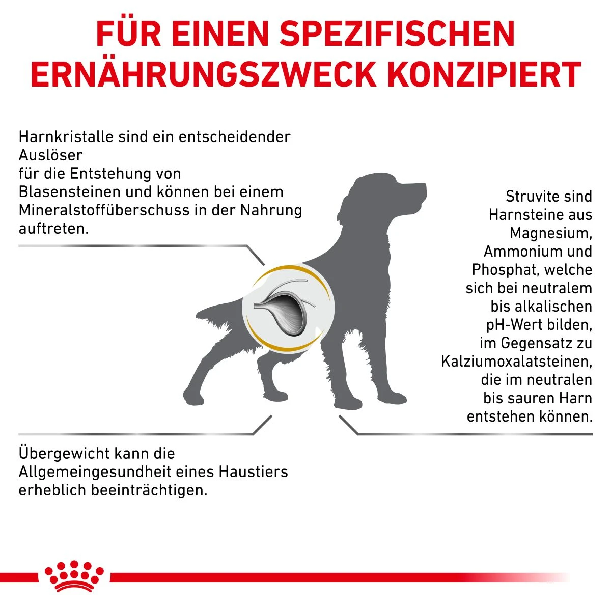 Royal Canin Urinary S/O Moderate Calorie Für Hunde 1,5 Kg Trockenfutter Für Hunde 11 Royal Canin Urinary S/O Moderate Calorie Für Hunde 1,5 Kg Trockenfutter Für Hunde – Bild 9