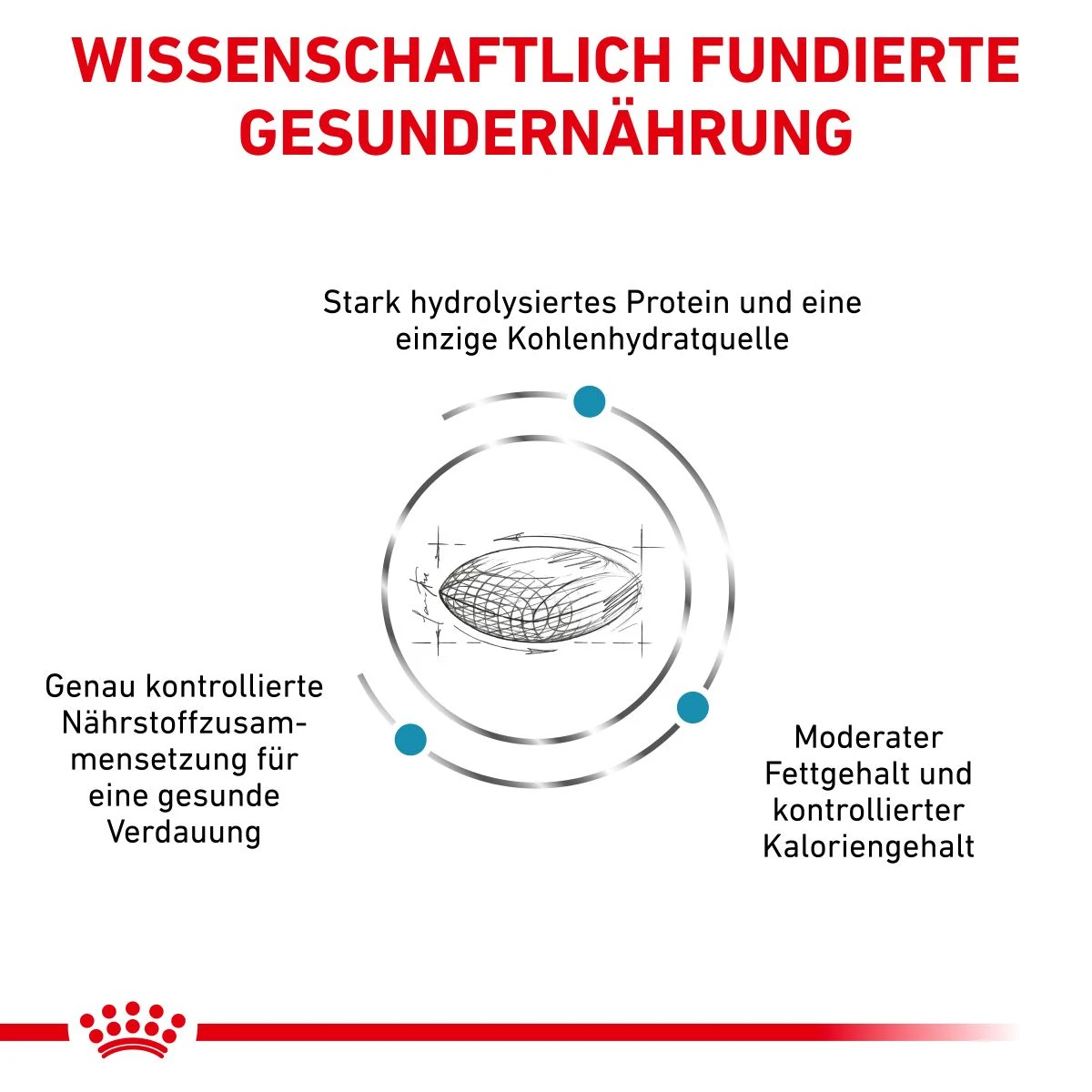 Royal Canin Hypoallergenic Moderate Calorie Trockenfutter Für Hunde 1,5 Kg Trockenfutter Für Hunde 6 Royal Canin Hypoallergenic Moderate Calorie Trockenfutter Für Hunde 1,5 Kg Trockenfutter Für Hunde – Bild 4