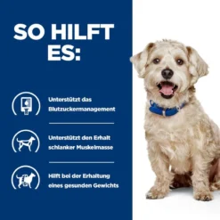 Hills W/d Trockenfutter Für Hunde 1,5 Kg Trockenfutter Für Hunde 12 Hills W/d Trockenfutter Für Hunde 1,5 Kg Trockenfutter Für Hunde -Deutschland Kuschel Pet Verkaufs-Shop FOfCzjGMBpNc 52742665603 4