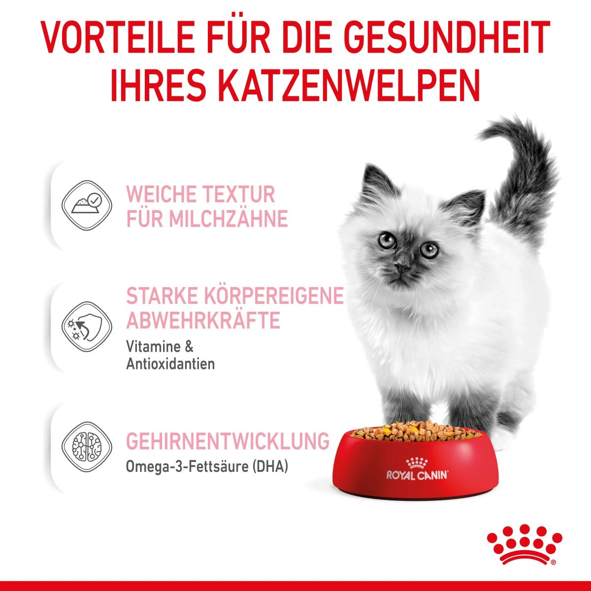 Royal Canin Kitten Frischebeutel Mit Gelee 12 X 85 G In Gelee Frischebeutel 5 Royal Canin Kitten Frischebeutel Mit Gelee 12 X 85 G In Gelee Frischebeutel – Bild 3