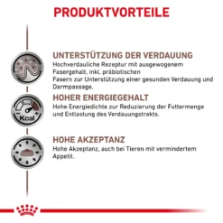 Royal Canin Gastrointestinal Dosenfutter Für Hunde 12 X 400 G Dosenfutter Für Hunde 12 Royal Canin Gastrointestinal Dosenfutter Für Hunde 12 X 400 G Dosenfutter Für Hunde -Deutschland Kuschel Pet Verkaufs-Shop Gv3mnGYk6Pqe 9003579309445 66 3