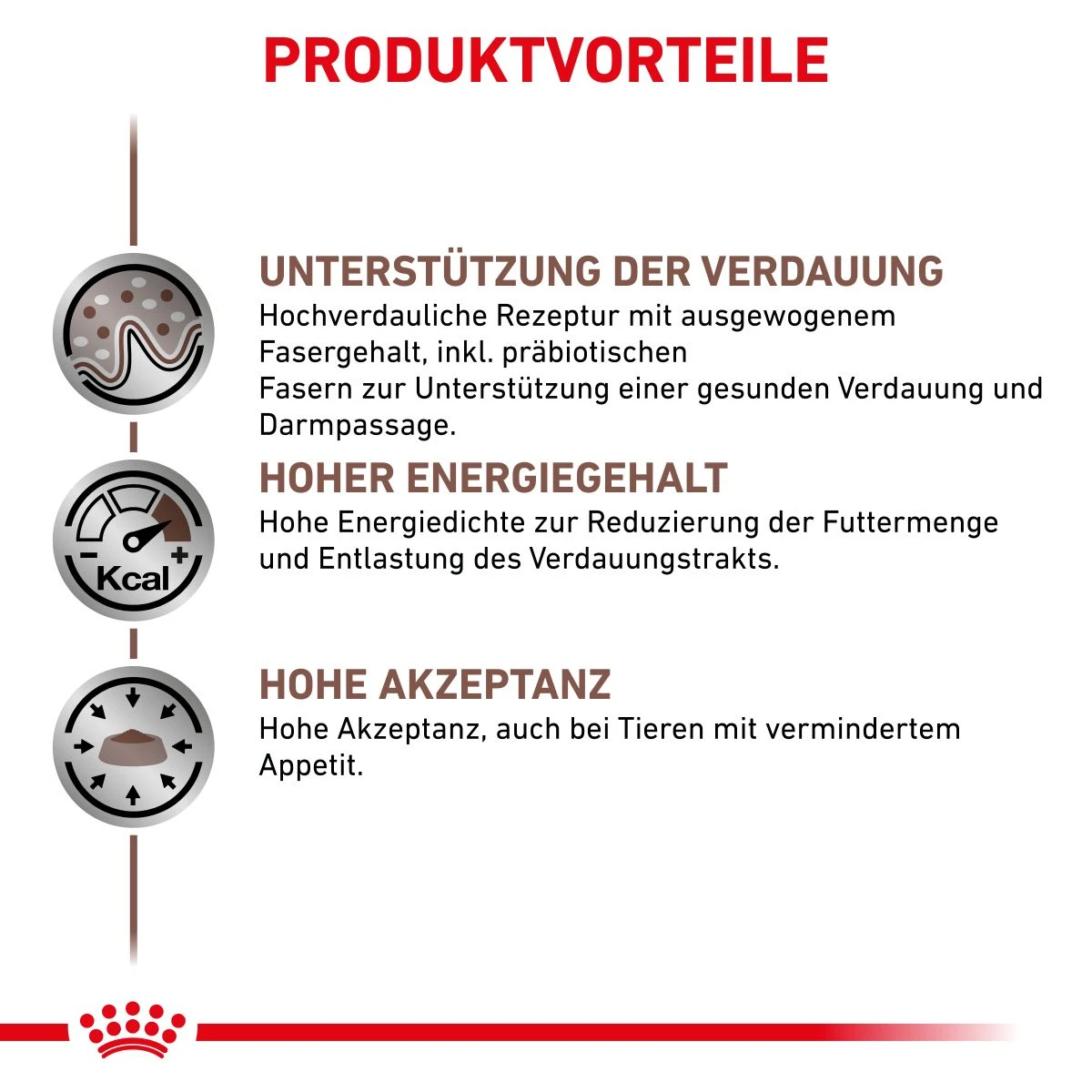 Royal Canin Gastrointestinal Dosenfutter Für Hunde 12 X 400 G Dosenfutter Für Hunde 4 Royal Canin Gastrointestinal Dosenfutter Für Hunde 12 X 400 G Dosenfutter Für Hunde – Bild 2