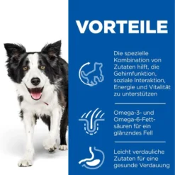 Hills Science Plan Canine Senior Vitality Medium Mature Adult 7+ Trockenfutter Mit Huhn & Reis 14 Kgr Trockenfutter Mit Huhn & Reis -Deutschland Kuschel Pet Verkaufs-Shop Hz7sn5qSlYa9 52742026107 3