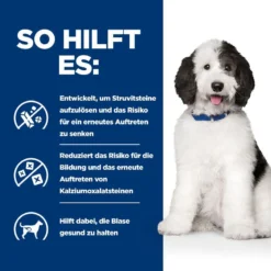 Hills Urinary Care C/d Multicare Trockenfutter Für Hunde 1,5 Kg Trockenfutter Für Hunde -Deutschland Kuschel Pet Verkaufs-Shop IAJMsAlwJ8mc 52742052144 4