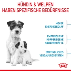 Royal Canin Mini Starter Trockenfutter 4 Kg Trockenfutter 15 Royal Canin Mini Starter Trockenfutter 4 Kg Trockenfutter -Deutschland Kuschel Pet Verkaufs-Shop J5B1QFGTXM6M 3182550932707 2504 3