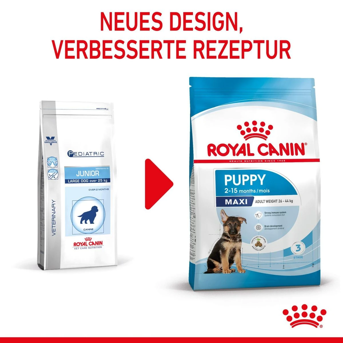 Royal Canin Maxi Puppy Für Welpen Großer Rassen 4 Kg Trockenfutter Für Hunde 4 Royal Canin Maxi Puppy Für Welpen Großer Rassen 4 Kg Trockenfutter Für Hunde – Bild 3