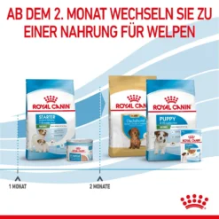 Royal Canin Mini Starter Trockenfutter 4 Kg Trockenfutter 18 Royal Canin Mini Starter Trockenfutter 4 Kg Trockenfutter -Deutschland Kuschel Pet Verkaufs-Shop KzdYqYx8xEMe 3182550932707 2504 6