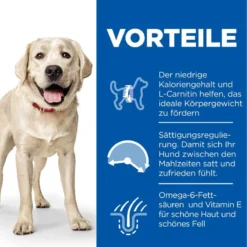 Hills Science Plan Canine Light Adult Large Breed Mit Huhn Trockenfutter 14 Kg Trockenfutter 7 Hills Science Plan Canine Light Adult Large Breed Mit Huhn Trockenfutter 14 Kg Trockenfutter -Deutschland Kuschel Pet Verkaufs-Shop LKnwbeDWS4bt 52742025902 3