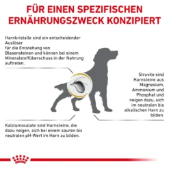 Royal Canin Urinary S/O Trockenfutter Für Hunde 2 Kg Trockenfutter Für Hunde 19 Royal Canin Urinary S/O Trockenfutter Für Hunde 2 Kg Trockenfutter Für Hunde -Deutschland Kuschel Pet Verkaufs-Shop LLNZrt4ZmSrp 3182550896856 298 9