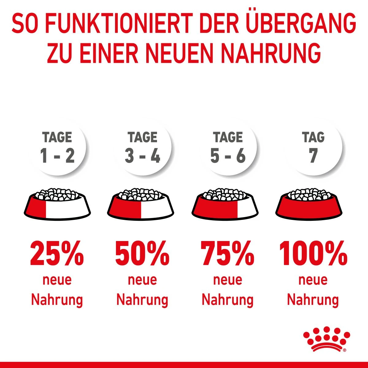 Royal Canin Maxi Puppy Für Welpen Großer Rassen 4 Kg Trockenfutter Für Hunde 11 Royal Canin Maxi Puppy Für Welpen Großer Rassen 4 Kg Trockenfutter Für Hunde – Bild 10