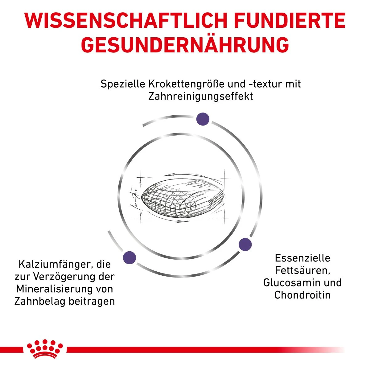 Royal Canin Dental Medium & Large Dogs Trockenfutter Für Hunde 6 Kg Trockenfutter Für Hunde 6 Royal Canin Dental Medium & Large Dogs Trockenfutter Für Hunde 6 Kg Trockenfutter Für Hunde – Bild 4