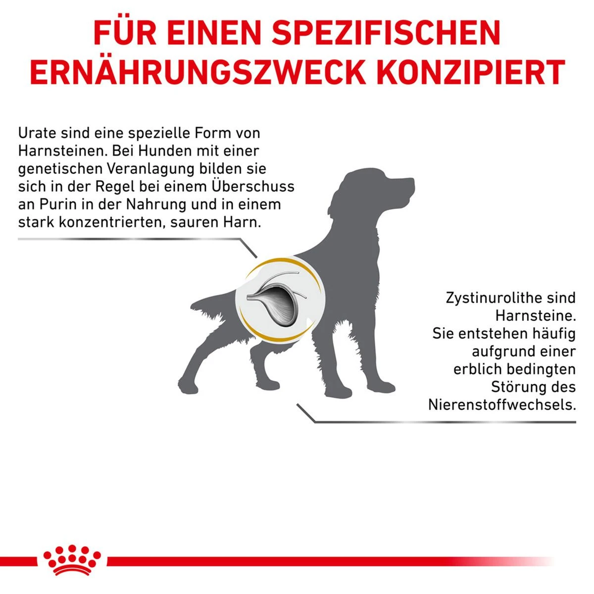 Royal Canin Urinary U/C Hundefutter 2 Kg Trockenfutter Für Hunde 8 Royal Canin Urinary U/C Hundefutter 2 Kg Trockenfutter Für Hunde – Bild 7