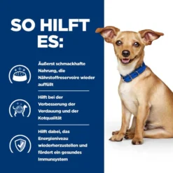 Hills I/d Ragout In Kleinen Dosen Für Hunde 24 X 156 G Dosenfutter Ragout Für Hunde 7 Hills I/d Ragout In Kleinen Dosen Für Hunde 24 X 156 G Dosenfutter Ragout Für Hunde -Deutschland Kuschel Pet Verkaufs-Shop MIO4V8ILZeSg 52742039336 4.jpeg