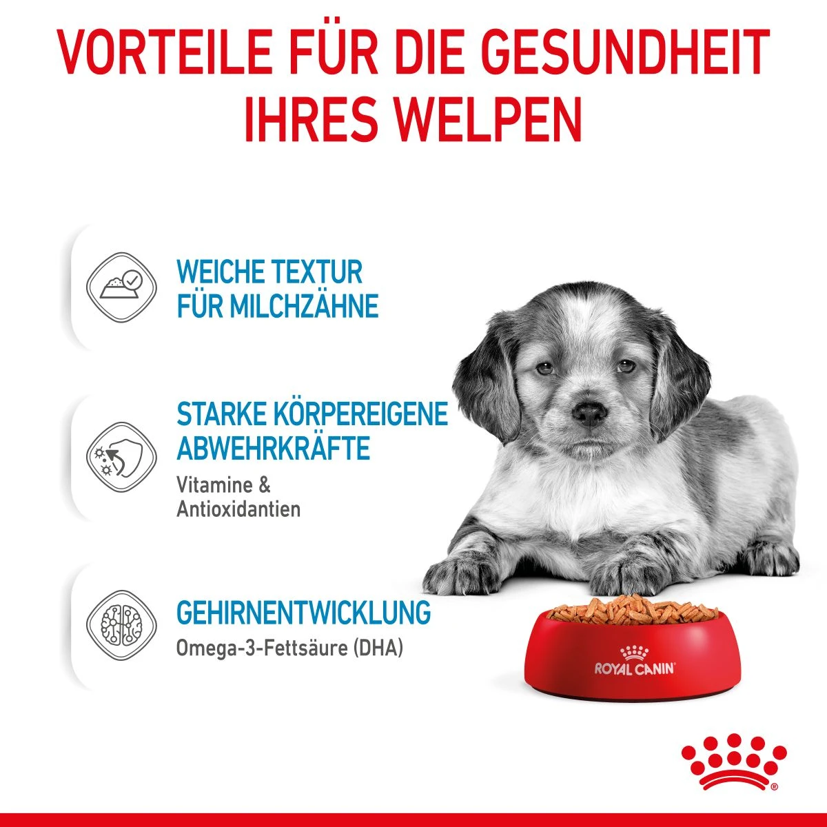 Royal Canin Medium Puppy Frischebeutel 10 X 140 G Frischebeutel Für Hunde 5 Royal Canin Medium Puppy Frischebeutel 10 X 140 G Frischebeutel Für Hunde – Bild 3