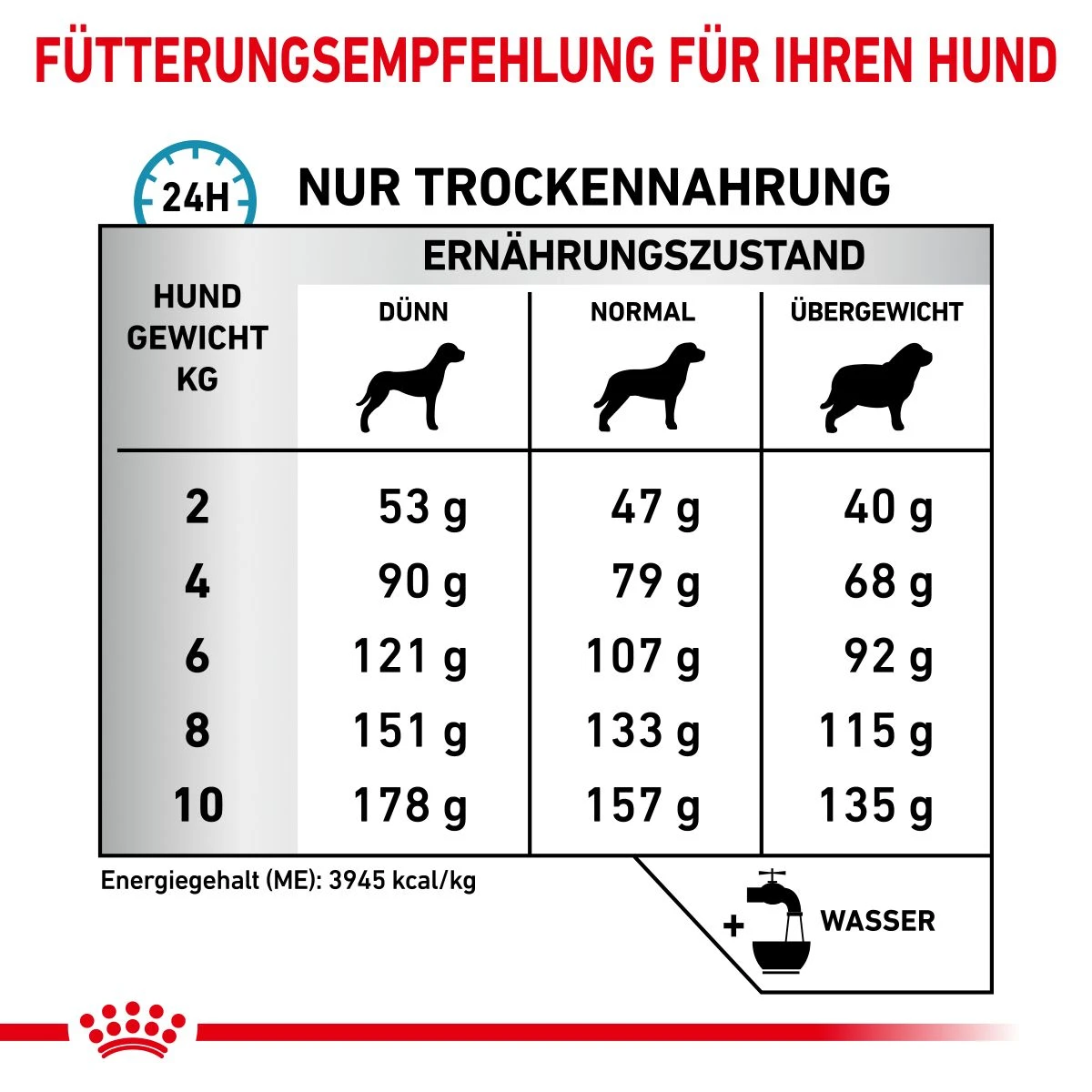Royal Canin Skin Care Small Dogs Trockenfutter 2 Kg Trockenfutter Für Hunde 9 Royal Canin Skin Care Small Dogs Trockenfutter 2 Kg Trockenfutter Für Hunde – Bild 7