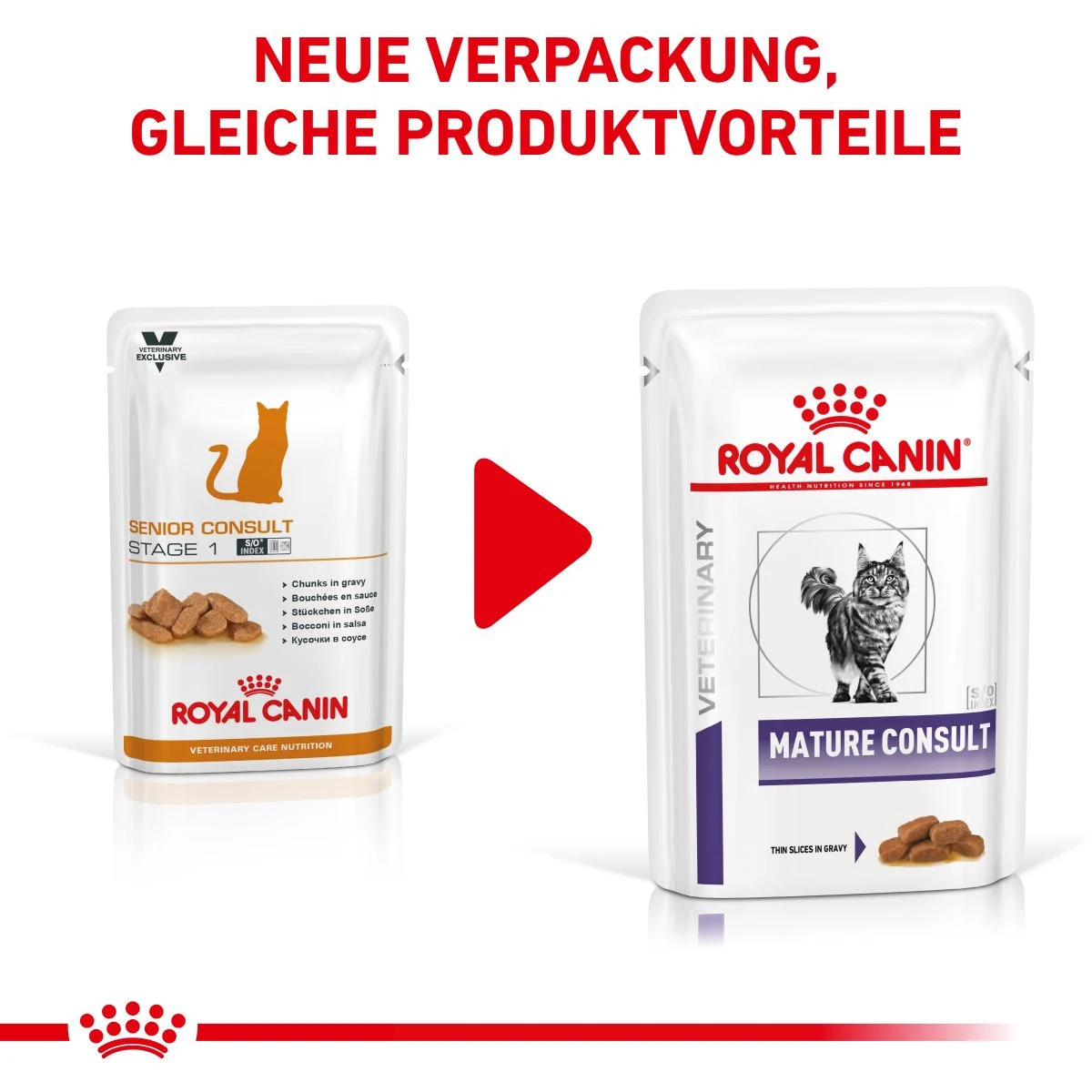 Royal Canin Mature Consult Katze Frischebeutel 12 X 85 G Frischebeutel Für Katzen 4 Royal Canin Mature Consult Katze Frischebeutel 12 X 85 G Frischebeutel Für Katzen – Bild 2