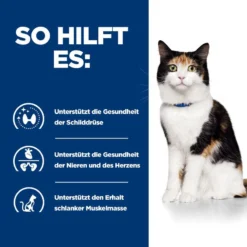 Hills Y/d Trockenfutter Für Katzen 1,5 Kg Trockenfutter Für Katzen 10 Hills Y/d Trockenfutter Für Katzen 1,5 Kg Trockenfutter Für Katzen -Deutschland Kuschel Pet Verkaufs-Shop PKBBMdPAJreJ 52742168005 4