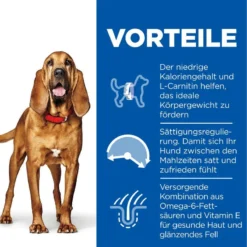 Hills Science Plan Canine Light Mature Adult 7+ Medium Mit Huhn Trockenfutter 14 Kg Trockenfutter 7 Hills Science Plan Canine Light Mature Adult 7+ Medium Mit Huhn Trockenfutter 14 Kg Trockenfutter -Deutschland Kuschel Pet Verkaufs-Shop PnyWpteWO0ul 52742026169 3