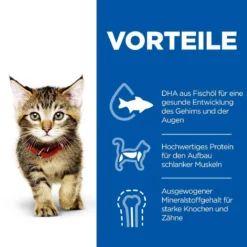 Hills Science Plan Kitten Trockenfutter 1,5 Kg Trockenfutter -Deutschland Kuschel Pet Verkaufs-Shop PqmNgHbLe665 52742023649 3