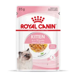 Royal Canin Kitten Frischebeutel Mit Gelee 12 X 85 G In Gelee Frischebeutel 19 Royal Canin Kitten Frischebeutel Mit Gelee 12 X 85 G In Gelee Frischebeutel -Deutschland Kuschel Pet Verkaufs-Shop Q2QqEQlLp6yX 9003579311783 4503 Packshot